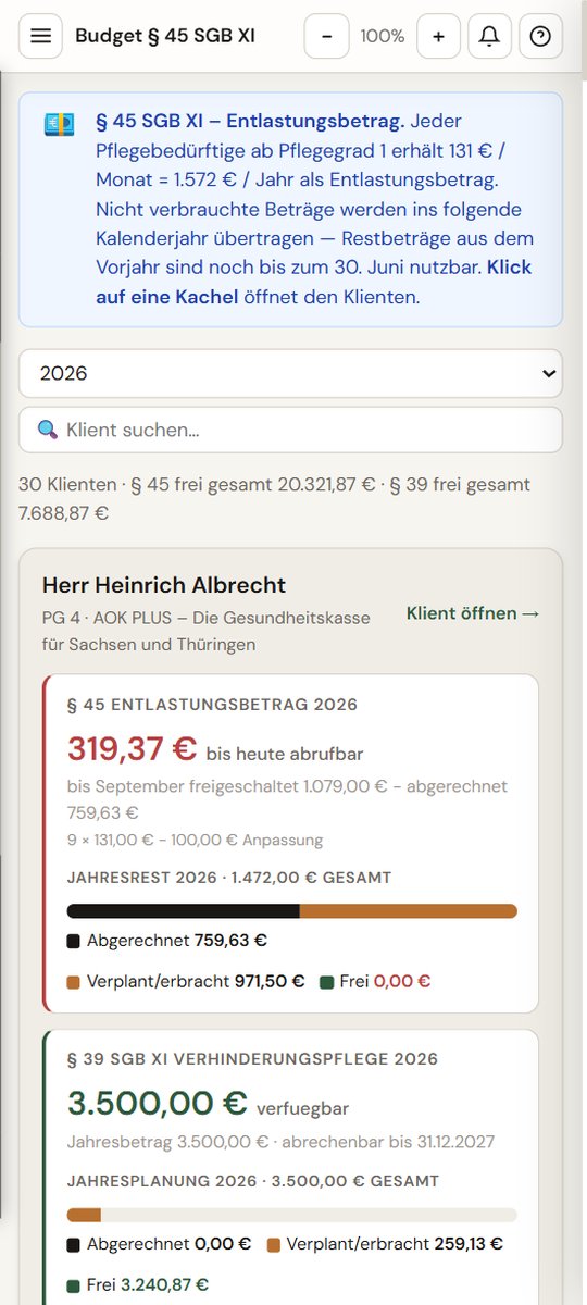 Budget-Übersicht – Mobil